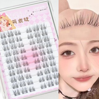 Phân đoạn Mở rộng mi tự nhiên Hàng ngày Lông mi lông tơ Cụm lựa chọn tiết kiệm thời gian cho người mới bắt đầu
