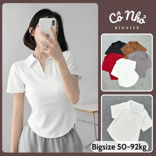 Áo Thun Bigsize Nữ Áo Polo Cổ Bẻ Lai Bầu Vải Tăm Lạnh Phong Cách Basic Cho Chubby G178