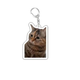 Rambling dê huh mèo Meme Keychain nhầm lẫn mèo memes mèo la hét với bàn chân trên đầu của nó món quà dễ