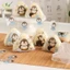 50 / 100 Chiếc Gạo Tam Giác Nhật Bản Túi Đóng Gói Dùng Một Lần Nori Onigiri Túi Sushi Làm Sushi Khuôn Phụ Kiện Bento VN