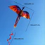 EDIWANY Rồng sống động như thật, Diều rồng bay tốt, Diều dài 100 mét Pterosaur Đồ chơi trẻ em Diều bay ngoài trời Kid & Adult