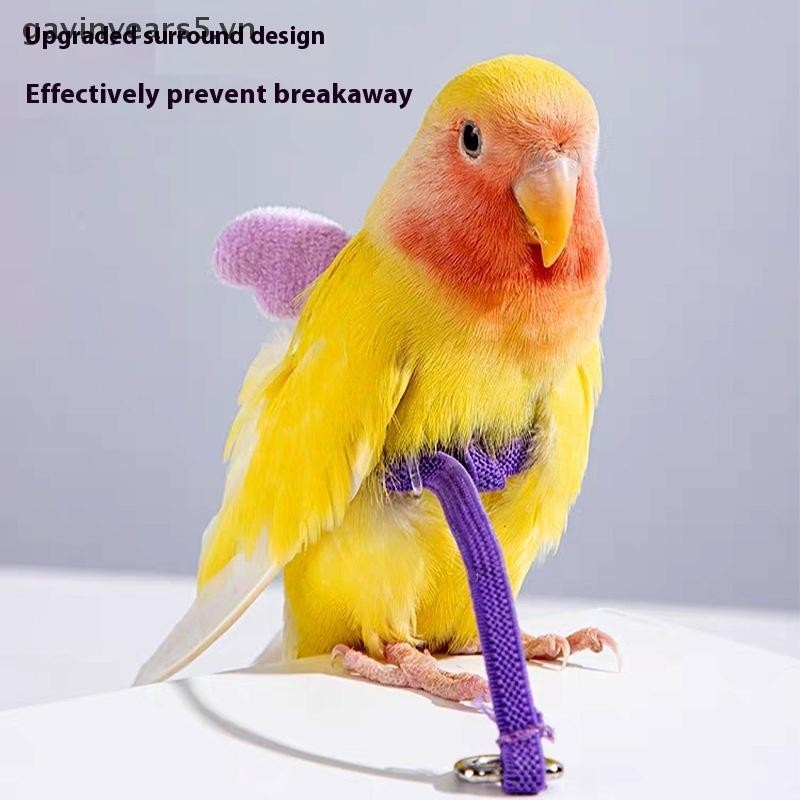 # gavin # Pet Parrot Bird Harness Wing Flying Rope Straps Dây kéo huấn luyện ngoài trời Dây kéo có thể điều chỉnh Dây kéo ngoài trời Đồ dùng cho thú cưng.