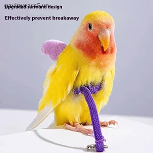 # gavin # Pet Parrot Bird Harness Wing Flying Rope Straps Dây kéo huấn luyện ngoài trời Dây kéo có thể điều chỉnh Dây kéo ngoài trời Đồ dùng cho thú cưng.