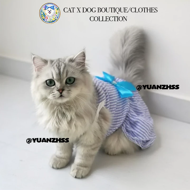 Đầm Dự Tiệc Cưới / Sinh Nhật / Sinh Nhật Cỡ XS-XXL 23 Cho Thú Cưng Váy công chúa cho chó quần áo thú cưng thời trang cho chó đầm cô dâu cho chó Quần Áo Chó Mèo Giá Rẻ Bộ đồ múa lân cho chó Đầm xinh ch