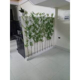 cành trúc giả, cành trúc quân tử, cành trúc cắm hàng rào,  lucas decor
