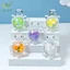 1 Con Rùa Phát Sáng Vườn Cá Thu Nhỏ Đồ Trang Trí Dạ Quang Lấp Lánh Rùa Trang Trí Nhà Cửa Cảnh Quan Thủ Công VN
