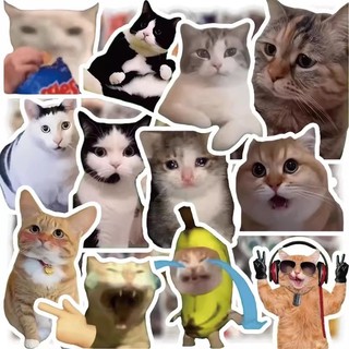 Bộ 50 Ngộ nghĩnh Mèo Meme Hoạt Hình Dán Kawaii Anime Chống Thấm Nước Vali Xe Đạp Đàn Guitar Notebook Đề Can Vui Vẻ Quà Tặng Cho Trẻ Em