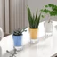 Chậu hoa thủy canh PWSEND, Chậu hoa tự tưới nước phong cách Boho trong suốt, Hình tròn hiện đại Chậu hoa sân vườn bằng nhựa tự tưới cây xanh