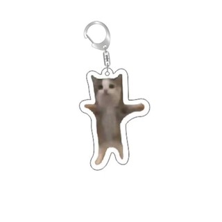 Rambling dê huh mèo Meme Keychain nhầm lẫn mèo memes mèo la hét với bàn chân trên đầu của nó món quà dễ