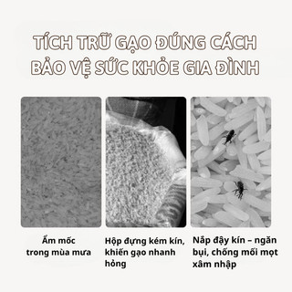 Thùng Đựng Gạo Bunnies House – Hộp Gạo Thông Minh 5kg 10kg, Lấy Gạo Một Chạm, Chống Mối Mọt