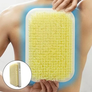 Miếng đệm massage lười biếng EARTHLYCO, miếng bọt biển treo tường, bàn chải tự dính chống trượt, dụng cụ làm sạch lưng cho nam nữ, dụng cụ phòng tắm bền