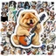 50 Nhãn Dán CHÓ CHƠI ĐÀN chống nước sticker dán laptop, điện thoại, đàn guitar, mũ bảo hiểm, vali