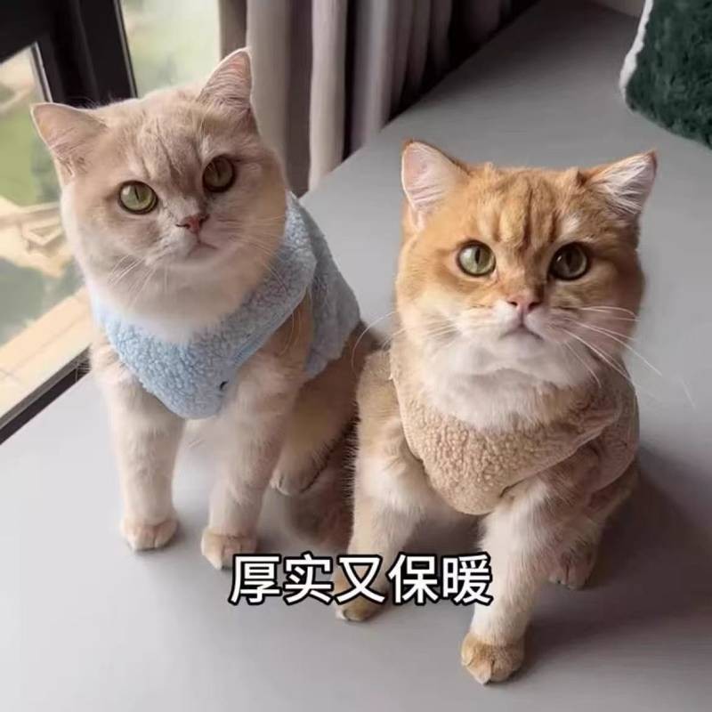 【Ready Stock】 Pet Clothes Dog Small and Medium-Sized Dogs Cat Autumn Winter Thermal Velvet Thickened Teddy Bichon Vest Vest Sweater dXyM