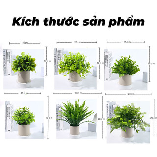 Cây Giả Trang Trí Kèm Chậu Để Bàn Cây Nhân Tạo Decor Phòng Ngủ Bàn Làm Việc Phụ Kiện Chụp Ảnh