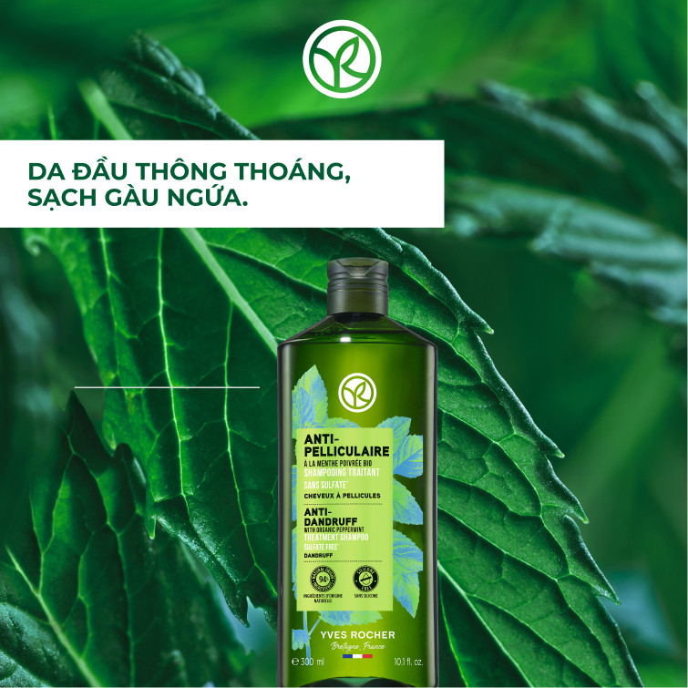 Ảnh Dầu gội ngăn ngừa gàu Yves Rocher Anti-Dandruff Treatment Shampoo 300ml 2