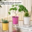 Chậu hoa thủy canh PWSEND, Chậu hoa tự tưới nước phong cách Boho trong suốt, Hình tròn hiện đại Chậu hoa sân vườn bằng nhựa tự tưới cây xanh
