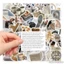 50 Hình Dán Sticker Phong Cách Cổ Điển Đơn Giản Hàn Quốc