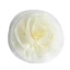 Phụ kiện hoa hình hạt đậu cho quần áo và trang trí nội thất làm từ polyester chất lượng cao