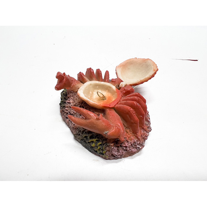 Cua Đóng Mở Nắp Trang Trí Bể Cá Cảnh (9x6x3cm)