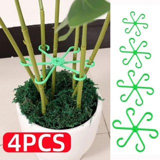 4 / 8 Chiếc Hộ Gia Đình Trong Suốt Thân Hỗ Trợ Alocasia Monstera Lá Hỗ Trợ Cây Nho Kẹp Dụng Cụ Làm Vườn
