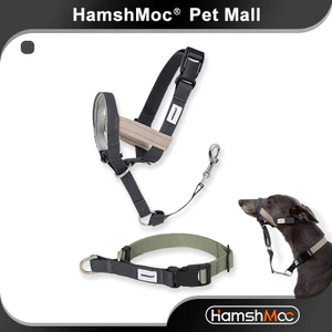 HamshMoc Cổ Thú Cưng Và Bộ Mõm Có Thể Điều Chỉnh Cổ Chó Mềm Chống Trầy Xước Chó Mõm Chống Cắn Phản Quang Cho Thú Cưng Đi Bộ Ngoài Trời