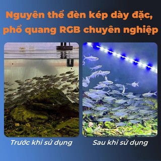 Đèn Chìm Hồ Cá LED, Tích Hợp Công Tắc Dành Cho Bể Cá Cảnh 20-100cm
