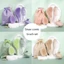 Bộ bốn mảnh rơm lúa mì Lược chải trứng tại nhà Lược Massage tóc thẳng Bộ cọ gội tóc xoăn Lược tạo kiểu {VN}