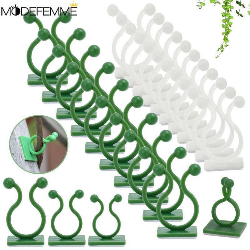Kẹp cố định thân cây tự dính - Kẹp cố định treo tường leo cây - Lực kéo cây nho - Giá buộc cành hoa - Dụng cụ làm vườn