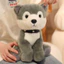 Mô Phỏng Con Chó Con Sang Trọng Đồ Chơi Kawaii Chó Teddy Husky Búp Bê Mềm Đầy Chó Con Búp Bê Phòng Ngủ Gối Gấu Bông Búp Bê Trang Trí Máy Tính Để Bàn Trang Trí Nhà Cửa Búp Bê Trẻ Em Quà Tặng Sinh Nhật