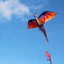 EDIWANY Rồng sống động như thật, Diều rồng bay tốt, Diều dài 100 mét Pterosaur Đồ chơi trẻ em Diều bay ngoài trời Kid & Adult