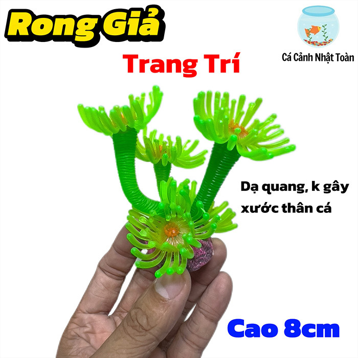 Rong Hải Quỳ Dạ Quang Mini Trang Trí Bể Cá Cảnh, Thủy Sinh (Cao 8cm)