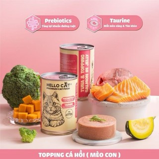 [COMBO] Pate Cho Mèo - Thức Ăn Cho Mèo Mọi Lứa Tuổi Trong Thạch Hello Cat Tuna 400g Pet Kool