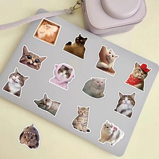 Bộ 50 Ngộ nghĩnh Mèo Meme Hoạt Hình Dán Kawaii Anime Chống Thấm Nước Vali Xe Đạp Đàn Guitar Notebook Đề Can Vui Vẻ Quà Tặng Cho Trẻ Em