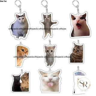 Rambling dê huh mèo Meme Keychain nhầm lẫn mèo memes mèo la hét với bàn chân trên đầu của nó món quà dễ