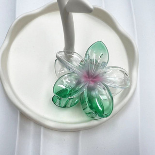 Frangipani Vuốt Tóc Barrettes Tính Khí Đa Năng Phụ Kiện Tóc Mũ Đội Đầu