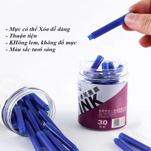 Mực Xoá Tẩy Được 0025 Loại 1 ( Mực Xanh, Mực Tím )
