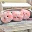 Móc khóa heo con sang trọng đáng yêu Little Fresh Funny Bag Mặt dây chuyền Đồ chơi trẻ em Quà tặng sinh nhật Vòng chìa khóa lợn nhỏ EMKK