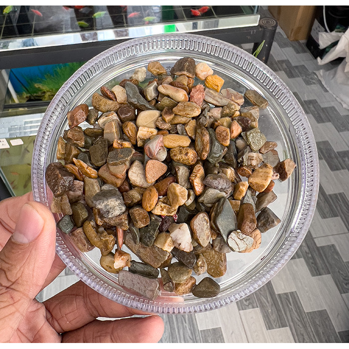 Sạn Suối Thiên Thiên Trang Trí Bể Cá, Tiểu Cảnh, Bể Thủy Sinh (Túi 500gram)