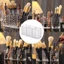 Hộp lưu trữ cọ trang điểm FAVORITEGOODS, 3 lưới đựng mỹ phẩm, Bàn chải lông mi bền Acrylic đa năng Bàn sắp xếp