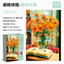 Câu đố nhỏ 1.000 mảnh / Đồ chơi xếp hình 1.000 mảnh dành cho người lớn / Giải nén giáo dục Thử thách khó khăn giải trí / Chủ đề thực vật phong cảnh / Phân vùng chữ ABC HD Vẽ tham khảo / Hộp quà tặng tinh tế Đồ chơi giáo dục