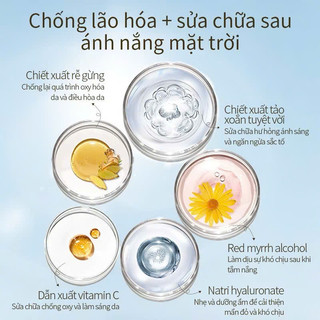 [ OSITREE ] Kem chống nắng OSITREE SPF50 + kem chống nắng bảo vệ da khỏi tia UVB và UVA 10g Cosmetic