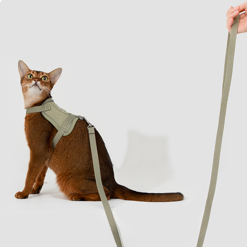 HamshMoc Bộ dây nịt và dây xích mèo có thể điều chỉnh chống lộ cảnh quan Mèo con Áo Vest nhẹ có dây xích mềm Khóa tháo nhanh
