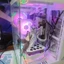 KO Anime Truyện Tranh Nguyên Bản Hai Chiều Cô Gái Đẹp Chảy Ngược Trà Tiệc Mio Mio Ibis Tay-Made Để Bàn Khung Xe Mô Hình Đồ Trang Trí
