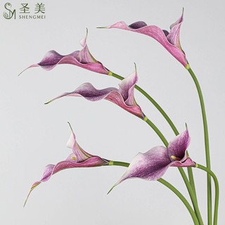 Cành hoa Calylili cánh đôi từ cao su mềm cao 60 cm