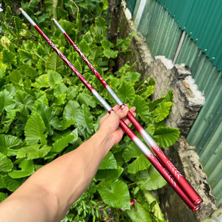 Cần Câu Đài Handing Shark 5H F1 Chuyên Rô Riếc Chép Chất Lượng Cao