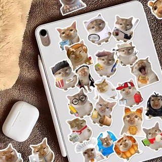 Bộ 50 Ngộ nghĩnh Mèo Meme Hoạt Hình Dán Kawaii Anime Chống Thấm Nước Vali Xe Đạp Đàn Guitar Notebook Đề Can Vui Vẻ Quà Tặng Cho Trẻ Em