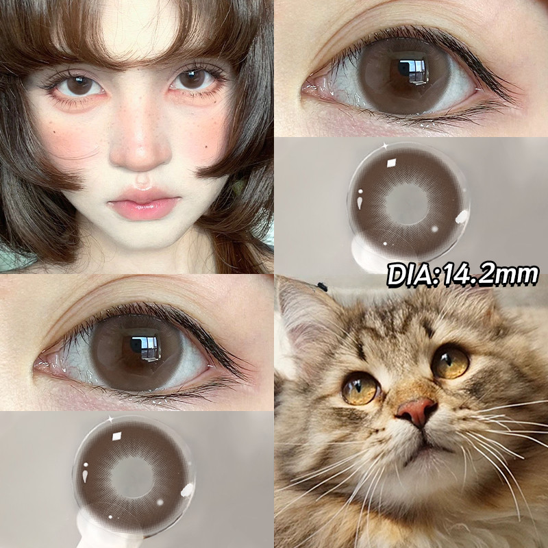 [0.00--6.00] Kính áp tròng Set 2 chiếc Ống kính áp tròng màu xám 14,5mm một năm 0,00---6,00 độ 019