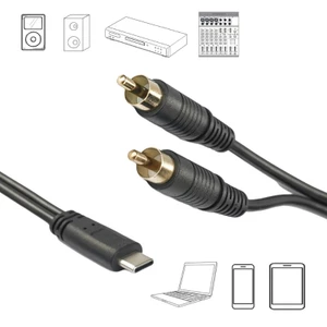 Cáp âm thanh BTM USB USB C sang 2RCA USB Type C sang 2RCA Nam Y Splitter Dây âm thanh