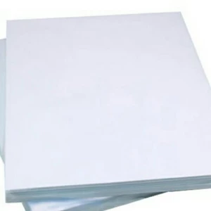 Combo túi có 100 tờ Decal A4 đế xanh.