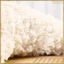 Thú cưng búp bê sang trọng, Thắt lưng âm thanh đồ chơi, Búp bê cừu Alpaca Đồ chơi sang trọng